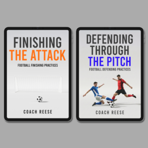 Bundle: Dominate Both Boxes - 25 Defending and Finishing Practices